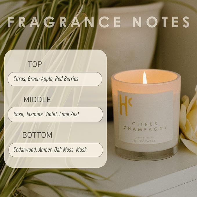 Citrus Champagne Single Wick Soy Candles, Luxury Scented Candles for Home - Up to 60 Hour Burn Time, Cruelty-Free Soy Wax Blend - Citrus Fragrance, Notes of Berries & Jasmine (9 oz)