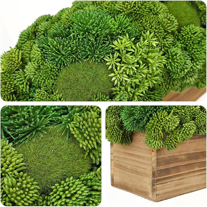 Briful Succulent Plants Artificial Fake Succulent Arrangement in Wooden Planter Pot Faux Plants Indoor for Home Office Dining Table Kitchen Shelf Decor