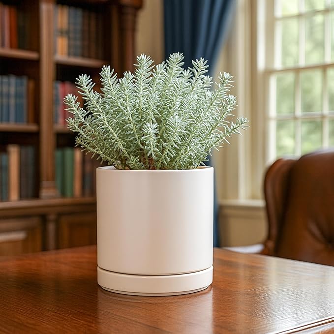 D'vine Dev 6.5 Inch Ceramic Planter Pot with Drainage Hole and Saucer, Indoor Cylinder Round Planter Pot, Oatmeal, 94-O-C-8