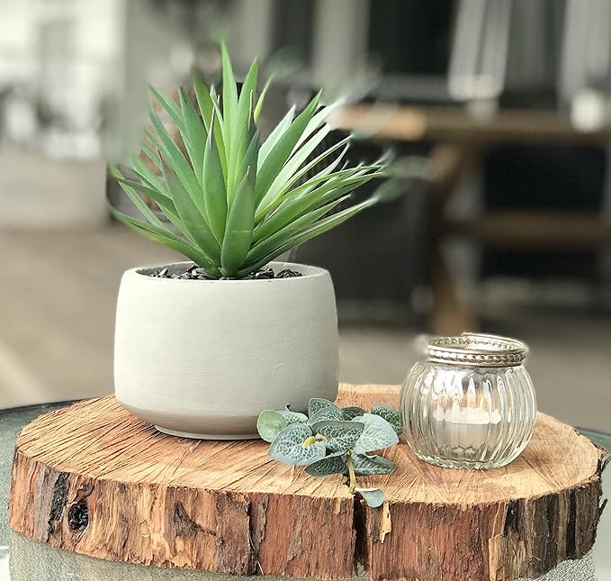 Kurrajong Farmhouse Artificial Plant Indoor | 7" high Fake Plant | Artificial Succulent in Pot | Fake Succulent | Faux Plant in Pot for Desk Decor