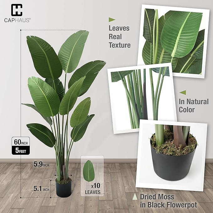 CAPHAUS 5 Feet Artificial Bird of Paradise, 60 Inch with 10 Trunks, Premium UV Resistant Lifelike Fake Plant in Pot with Dried Moss for Office, Indoor/Outdoor Use & Tropical Home Décor