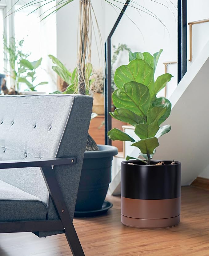 D'vine Dev 10 Inch, Ceramic Planter Pot with Drainage Hole and Saucer, Indoor Cylinder Round Planter Pot, Black/Speckled Tan, 94-O-E-7