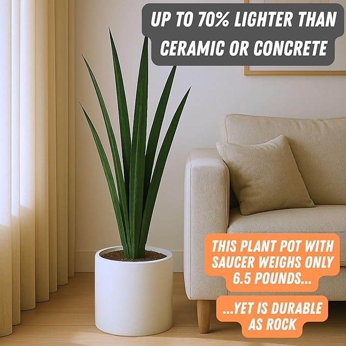 Fox & Fern 10 Inch Plant Pot with Hidden Saucer — Premium Lightweight Fiberstone Matte White Self Watering Planter with Seamless Saucer; Indoor & Outdoor Use; Weather Resistant & UV Resistant