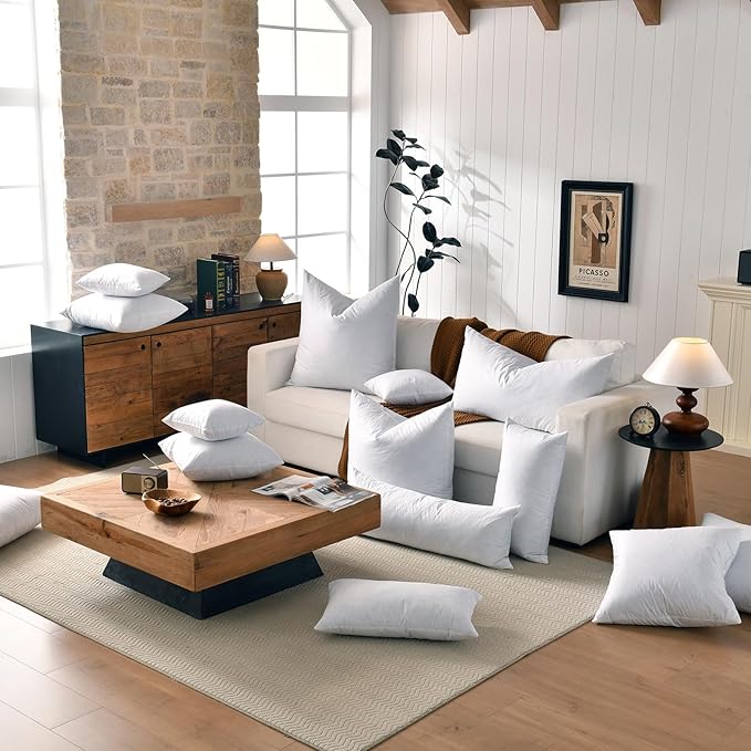 22x22 Decorative Throw Pillow Inserts-Down Feather Pillow Inserts-Square-Cotton Fabric-Set of 2-White.