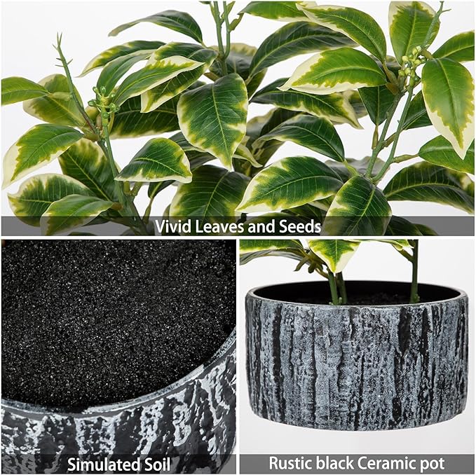 Artificial Plants Decor Greenery Fake Ficus White-edged Leaf with Seeds Indoor Potted 14" Fake Plant in Rustic Black Ceramic Planter for Farmhouse Room Bathroom Bedroom Kitchen Office Table Desk Decor
