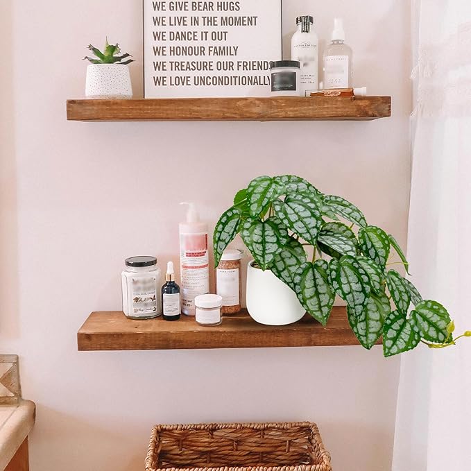 DILATATA Fake Plants Indoor 8 Inch Artificial Watermelon Plant in White Ceramic Pot - Faux Potted Pothos Plant for Home Aesthetic Decor Living Room Shelf Office