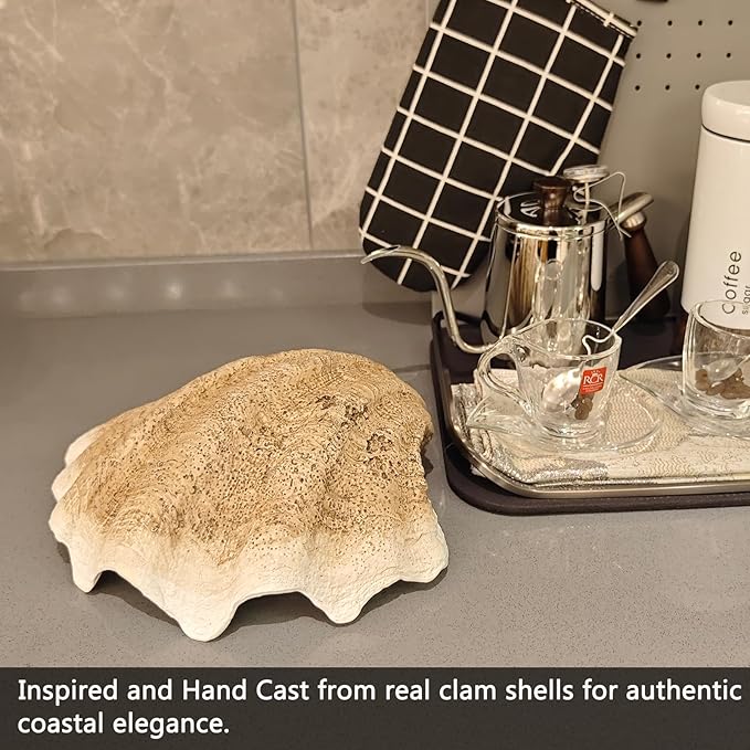 Medium Pearl White Weathering Scalloped Clam Shell Bowl Sea Shell Decor for Nautical Beach House,Coastal Decor Gift of Housewarming and Wedding Party