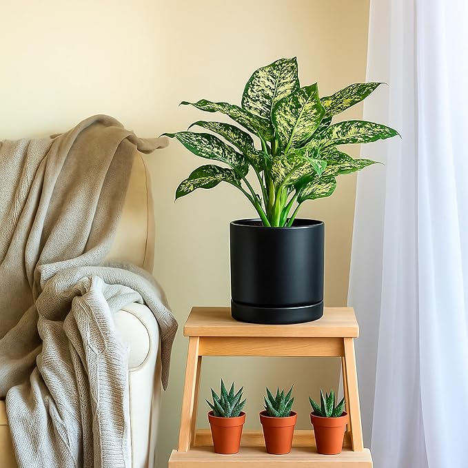 D'vine Dev 8.2 Inch Ceramic Planter Pot with Drainage Hole and Saucer, Indoor Cylinder Round Planter Pot, Black, 94-O-D-2