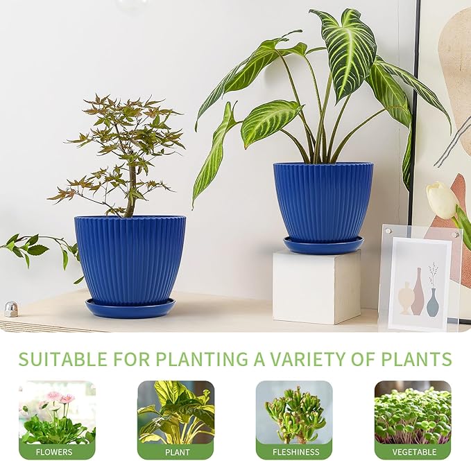 Plant Pots Indoor with Saucers & Drainage - 6 Pack Flower Pots - Plastic Planters for Indoor Planter - 7.5/6.6/5.8/5.0/4.3/3.5 inches Sizes for All Different Types of Plants-Dark Blue