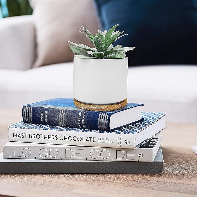 Hopewood Succulent Plants Artificial - Faux Agave Succulent Plant in Ceramic Pots with Bamboo Tray for Office Desk Living Room Decor(5.9inch)