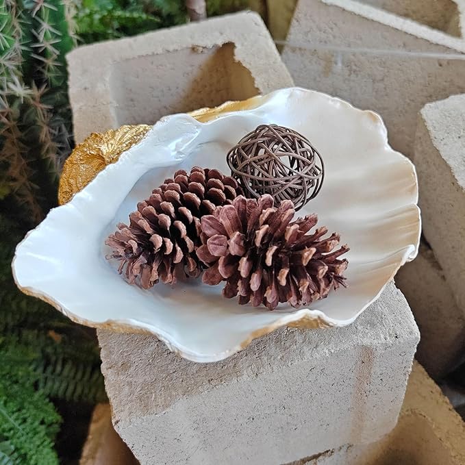 Medium Pearl White Gold Scalloped Clam Shell Bowl Sea Shell Decor for Nautical Beach House,Coastal Decor Gift of Housewarming and Wedding Party