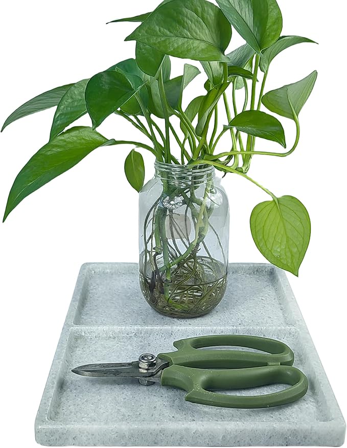 10"x8" Natural Marble Decorative Tray – Dual‑Compartment Stone Vanity Organizer for Jewelry, Keys & Soap – Premium Heat‑Resistant Bathroom Decor Gift(Belken White)