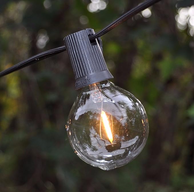 Hometown Evolution, Inc. 100 Foot G50 LED Filament String Lights with .6 Watt Clear Bulbs and Black Wire