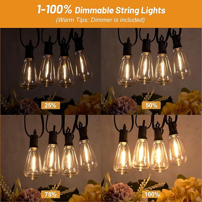 100FT Dimmable Waterproof Outdoor String Lights with Remote, 52 Shatterproof ST38 Vintage Edison Bulbs for Porch, Deck, Garden, Backyard, Balcony