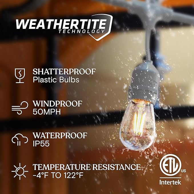 Brightech Ambience Pro Waterproof LED Outdoor String Lights, 48 Ft, Hanging, Dimmable Vintage Edison Bulbs, 15 Bulbs, 2W