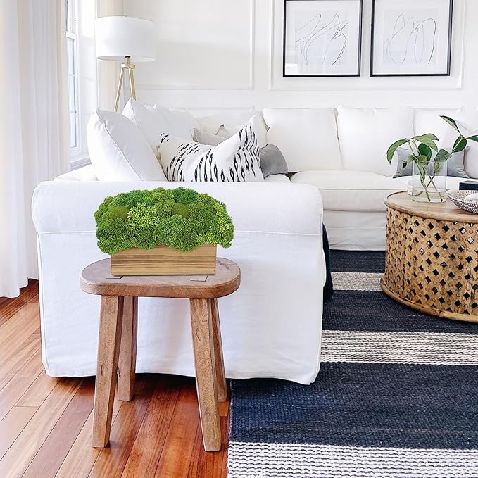 Briful Succulent Plants Artificial Fake Succulent Arrangement in Wooden Planter Pot Faux Plants Indoor for Home Office Dining Table Kitchen Shelf Decor