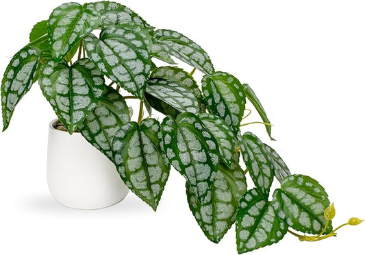 DILATATA Fake Plants Indoor 8 Inch Artificial Watermelon Plant in White Ceramic Pot - Faux Potted Pothos Plant for Home Aesthetic Decor Living Room Shelf Office