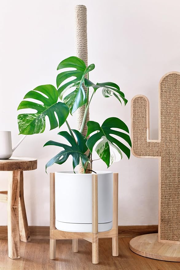 D'vine Dev Ceramic Planter with Natural Stand - 12 Inch Modern Round Flower Pot with Wood Planter Holder, White, 55-B-J-1