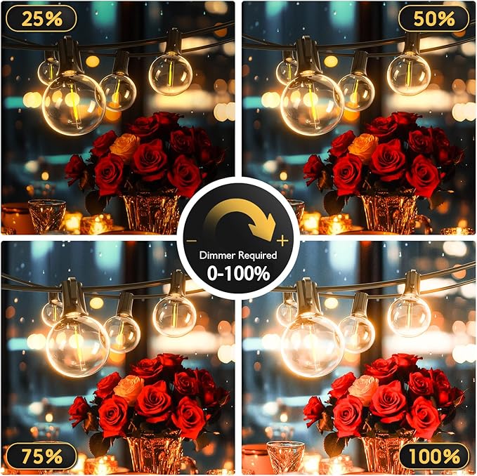 Outdoor String Lights 60ft LED Hanging Globe Patio Lights with G40 Shatterproof Bulbs(20+2 Bulbs), Waterproof Connectable Hanging Light for Indoor Outdoor Decor Garden Camping Backyard Porch