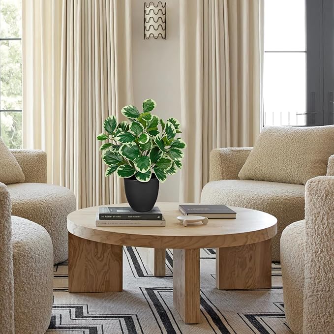 Sets of 2 Artificial Plants Indoor Home Decor, 14.5" Fake Potted Silk Plants for Shelves Living Room Decor, Small Artificial Office Desk Plant in Pots, Faux Peperomia Hope Tropical House Plant