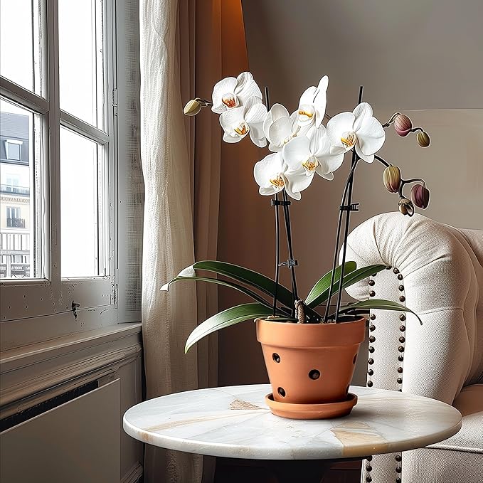 Clay Orchid Pots with Holes,Terracotta Orchid Pots with Drainage Holes & Saucer for Repotting 6 Inch, Orchid Planters for Indoor Plants