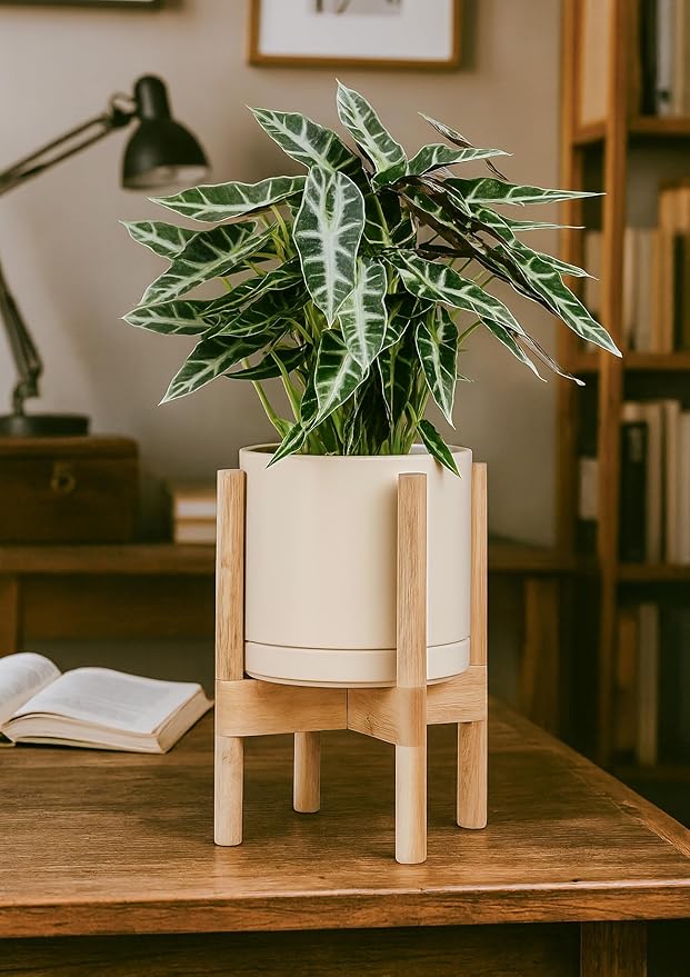 D'vine Dev Ceramic Planter with Natural Stand - 8 Inch Modern Round Flower Pot with Wood Planter Holder, Oatmeal, 55-B-N-8