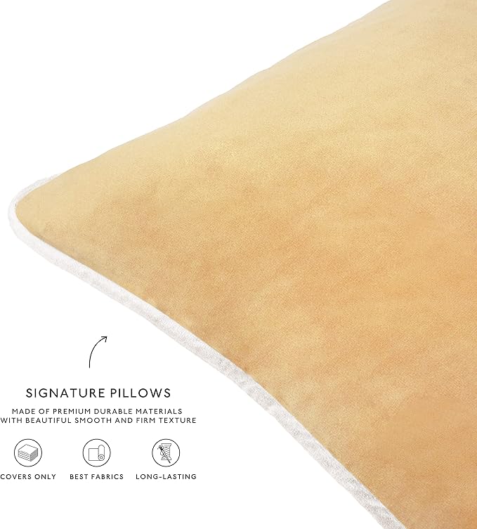 MONDAY MOOSE Decorative Throw Pillow Covers Cushion Cases, Set of 4 Soft Velvet Modern Double-Sided Designs, Mix and Match for Home Decor, Pillow Inserts Not Included (20x20 inch, Blue/Beige)