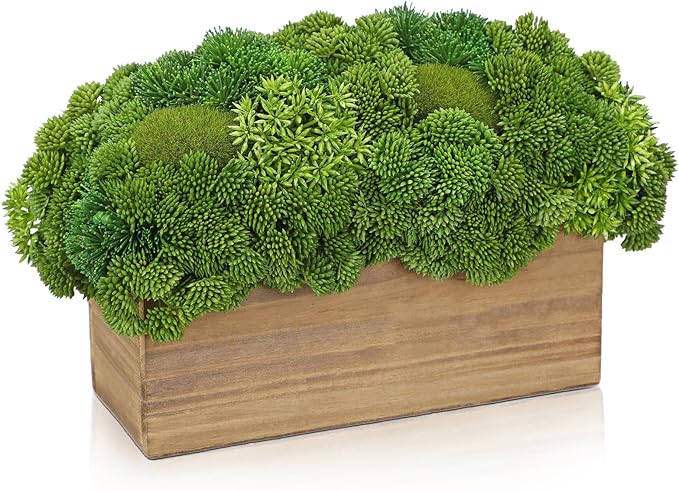 Briful Succulent Plants Artificial Fake Succulent Arrangement in Wooden Planter Pot Faux Plants Indoor for Home Office Dining Table Kitchen Shelf Decor