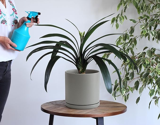 D'vine Dev 8 Inch Ceramic Planter Pot with Drainage Hole and Saucer, Indoor Cylinder Round Planter Pot, Grey, 94-O-D-3