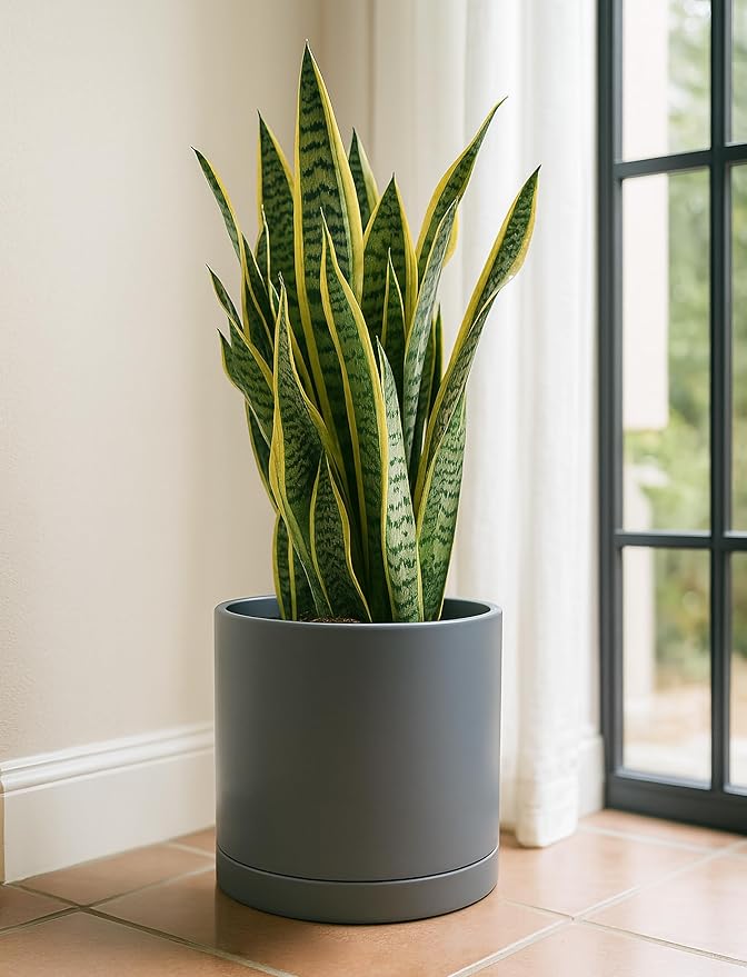 D'vine Dev 12 Inch Ceramic Planter Pot with Drainage Hole and Saucer, Indoor Cylinder Round Planter Pot, Speckled Grey, 94-O-F-3