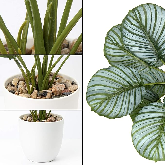 Briful 18'' Tall Fake Plant Realistic Faux Calathea Plant Artificial Plant for Home Decor Indoor Fake House Plant in White Pot for Living Room Bathroom Kitchen