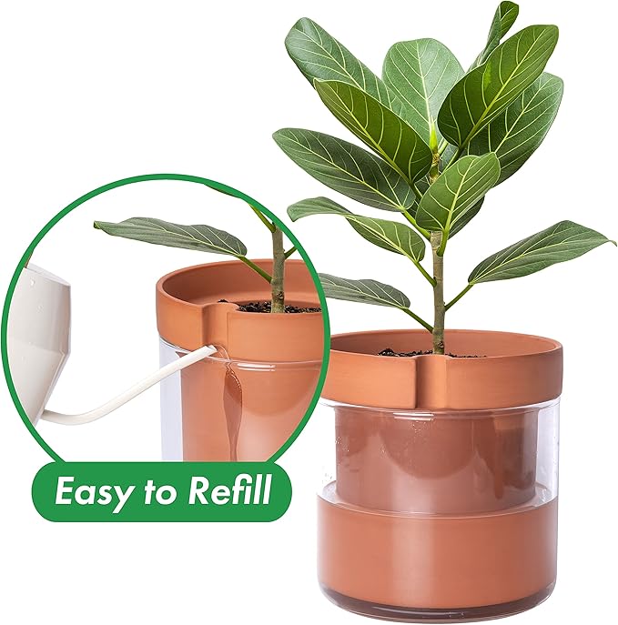 Phoenix Vine 8 Inch Self Watering Planter Pot, Terracotta Clay Pot with Glass Reservoir for Indoor Plants, Herbs, Flowers, Set of 1, 52-A-H-1