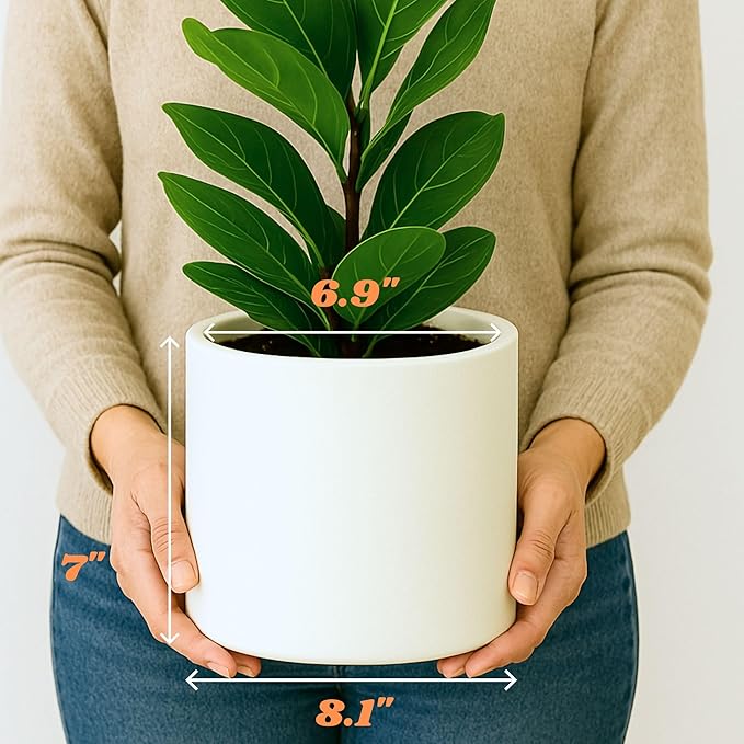 Fox & Fern 8 Inch Plant Pot with Drainage Plug — Premium Lightweight Fiberstone Matte White Planter; Indoor & Outdoor Planter; 8 Inch Pots for Plants; Weather Resistant & UV Resistant