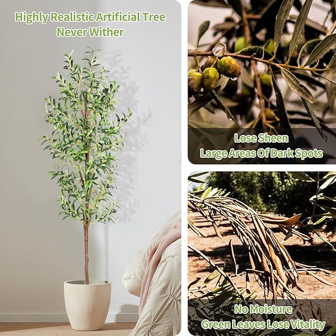 Artificial Olive Tree, 6FT Tall Faux Olive Trees 72in Outdoor Fake Potted Silk Plant with Trunk and Realistic 648 Leaves and 24 Fruits for Modern Office Home Decor Indoor（1pack）