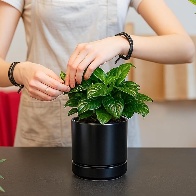 D'vine Dev Set of 4 Small Ceramic Plant Pots, 4.7 Inch Succulent Planter Pot for Plants with Drainage Hole and Saucer, Black, 94-X-B-2