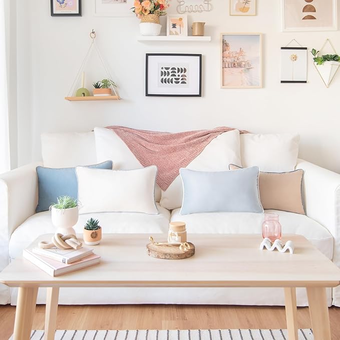 MONDAY MOOSE Decorative Throw Pillow Covers Cushion Cases, Set of 4 Soft Velvet Modern Double-Sided Designs, Mix and Match for Home Decor, Pillow Inserts Not Included (12x20 inch, Beige/Light Blue)