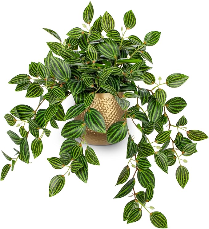 Briful Faux Plants Indoor 17.7in Fake Watermelon Peperomia Plant in Gold Pot with Realistic Silk Green Leaves Artificial Potted Plant for Home Office Table Shelf Desk Modern Room Decor