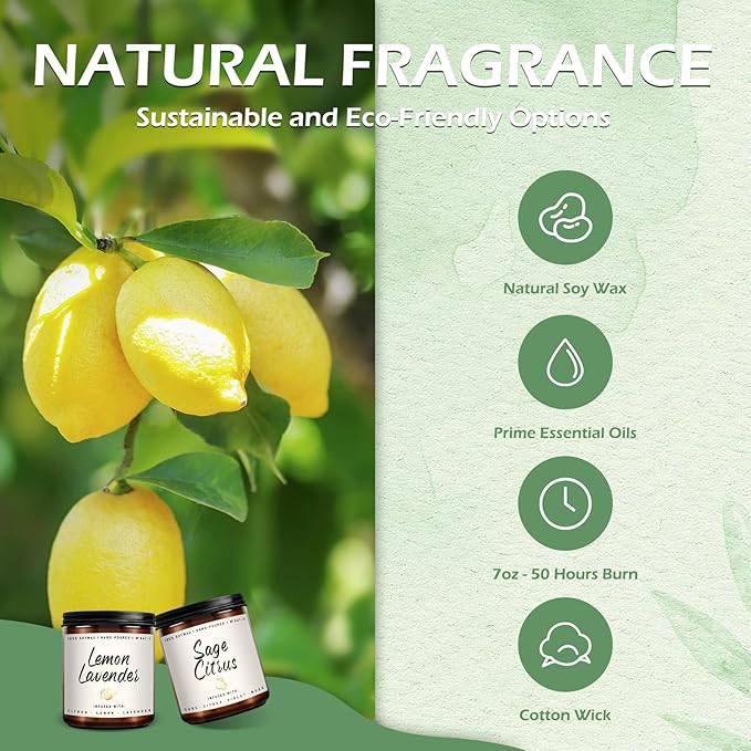 Scented Candles Set | Scented Candle for Home - 4 Pack Candle Gifts, Soy Candles for Home - Aromatherapy Gift of Mint Eucalyptus/Lemon Lavender/Sage Citrus/Vetiver Musk