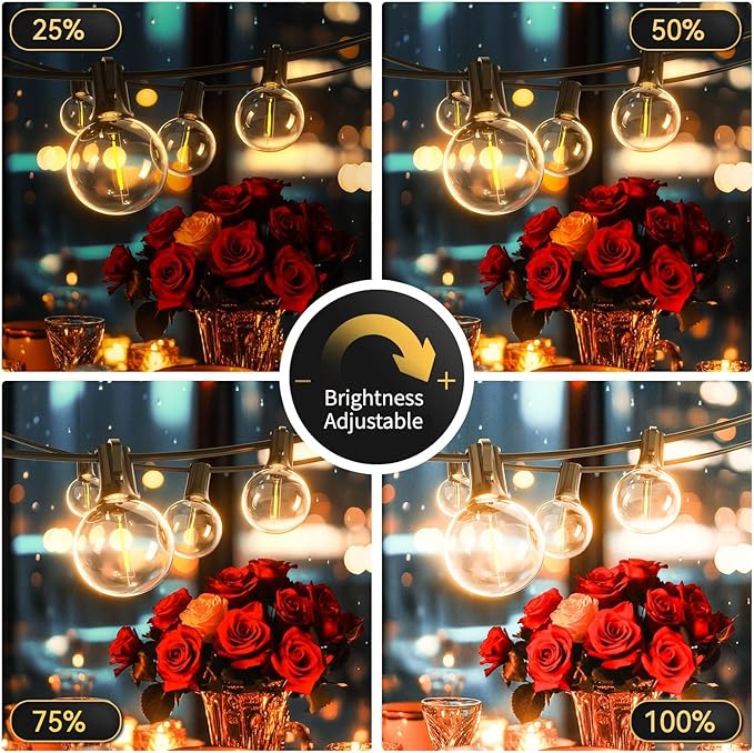 G40 Solar String Lights Outdoor with Remote 30 FT, USB & Solar Dual Charging, Waterproof, 8 Modes 3 Timers, 10+1 LED Shatterproof Bulbs, Dimmable Solar Light for Camping Backyard Bistro Porch Garden