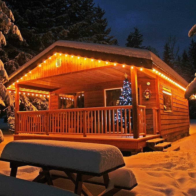 G40 Outdoor Globe String Lights, 25ft Hanging Patio Lights with 27 Incandescent Bulbs (2 Spare), Connectable Backyard Bistro Wedding Decor, E12 Base, 5W-Black Wire