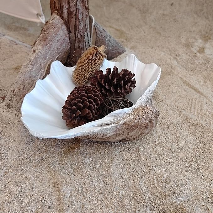 Medium Pearl White Weathering Scalloped Clam Shell Bowl Sea Shell Decor for Nautical Beach House,Coastal Decor Gift of Housewarming and Wedding Party