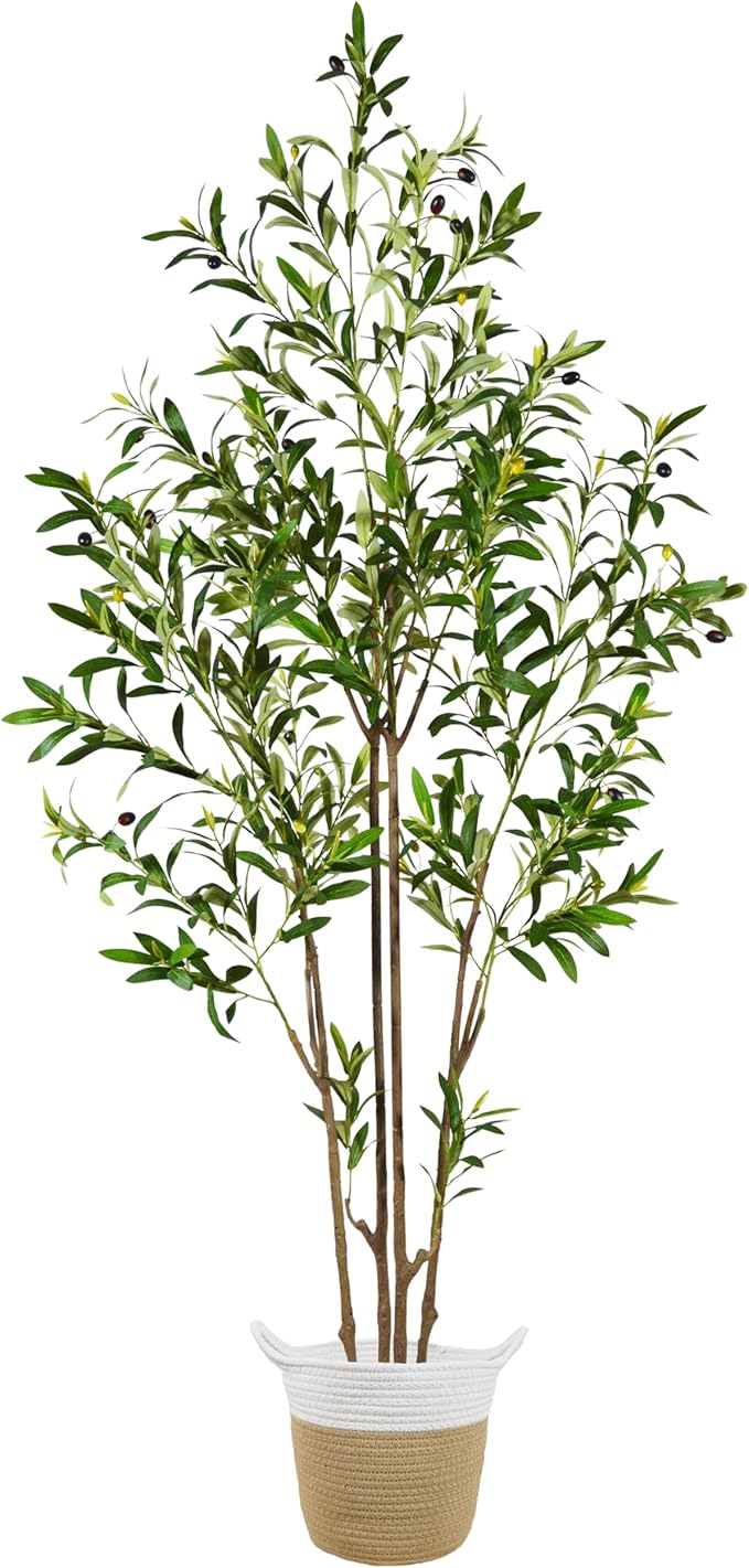 6ft (71”) Artificial Olive Tree, Tall Fake Olive Plant with Basket, Faux Olive Silk Tree for Mordern Indoor Home Livingroom Office Floor Corner Décor