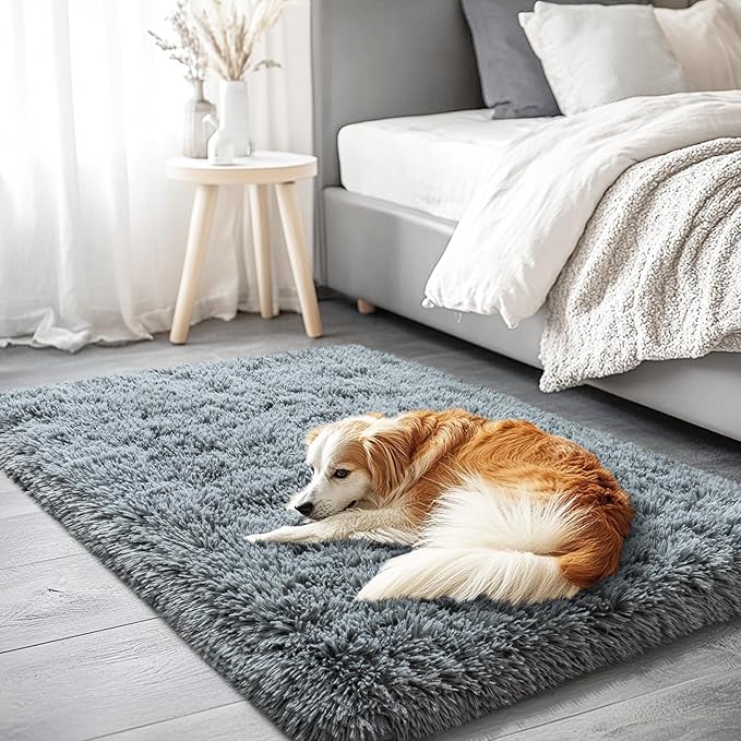 3x5 Area Rug for Bedroom, Grey Rugs for Living Room Nursery Kids Room Dorm Home Decor Aesthetic, Fluffy Shaggy Rug with 4 Anti-Slip Carpet Tapes