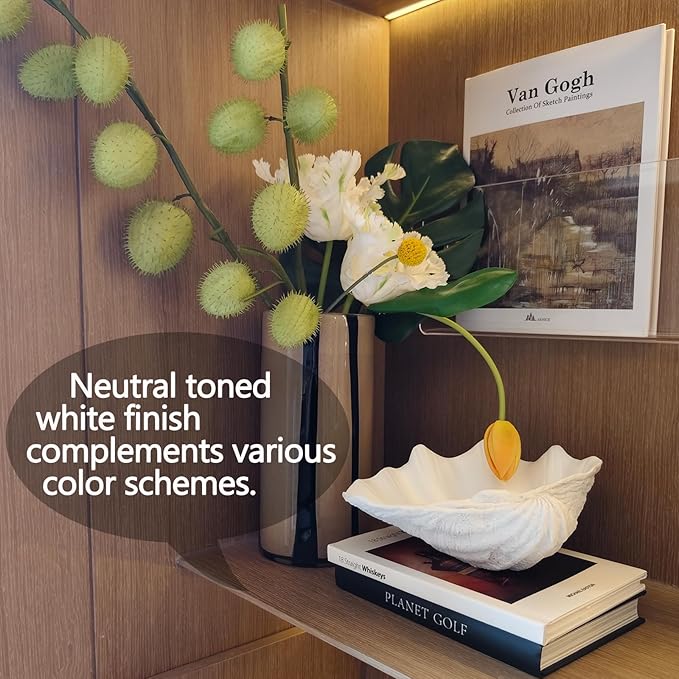 Small White Scalloped Clam Shell Bowl Sea Shell Decor for Nautical Beach House,Coastal Decor Gift of Housewarming and Wedding Party