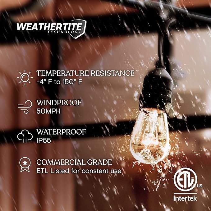 Brightech Ambience Pro Incandescent Outdoor String Lights - Commercial Grade Waterproof Patio Lights with 24 Ft Dimmable Edison Bulbs, Porch String Lights for Patio, Backyard, Christmas - 7 Bulbs 11W