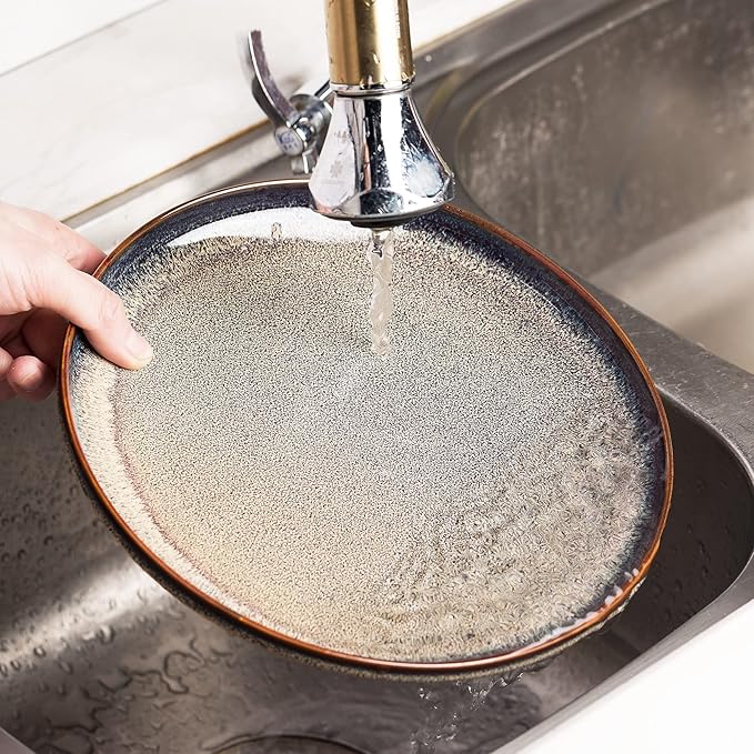 Ceramic dinner plates set of 4, Large Dinnerware Plates & Salad plates for party and wedding, Microwave safe porcelain plates set, 10 Inch