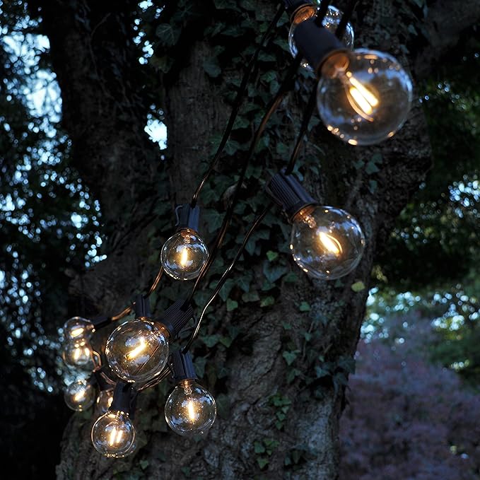 Hometown Evolution, Inc. 100 Foot G50 LED Filament String Lights with .6 Watt Clear Bulbs and Black Wire