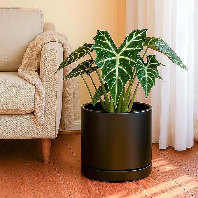 D'vine Dev 10 Inch Ceramic Planter Pot with Drainage Hole and Saucer, Indoor Cylinder Round Planter Pot, Black, 94-O-E-2