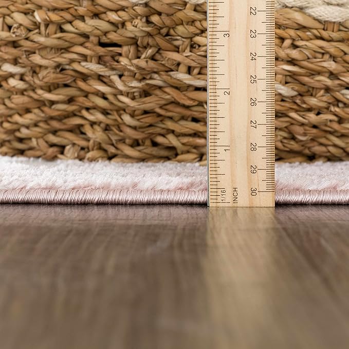 Blush & Light Pink Collection Zora Bohemian Oriental Medallion Runner Rug - Traditional Floral Carpet for Hallway, Kitchen - Blush, Pale Pink, Cream - 2'7" x 10' Runner