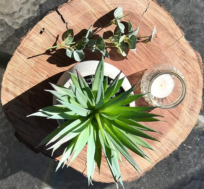 Kurrajong Farmhouse Artificial Plant Indoor | 7" high Fake Plant | Artificial Succulent in Pot | Fake Succulent | Faux Plant in Pot for Desk Decor